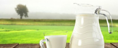 Британское молоко закисает на фоне трудового кризиса