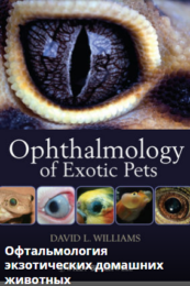 Офтальмология мелких животных