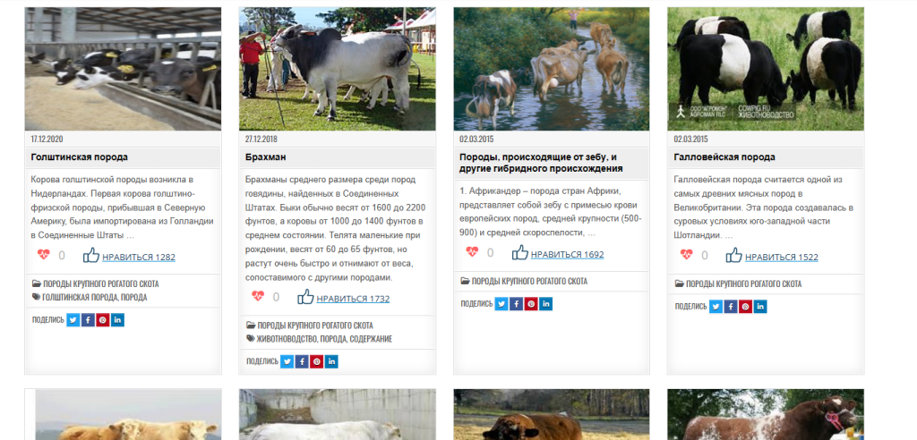 породы коров