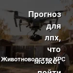 дрон над лпх