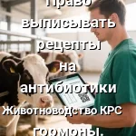 электронных рецептов