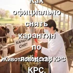 карантин лейкоз