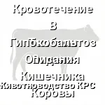 корова