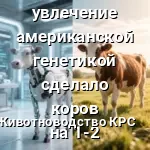 корова лактация