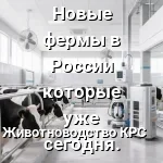 новые фермы