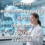 отрасоль корова