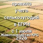 поля