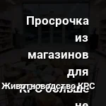 просрочка продуктов