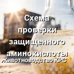 проверка аминокислот