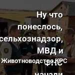 проверка фермера