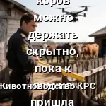 проверка ЛПХ
