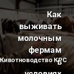 расходы и цены
