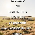 скот до росы
