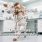 теленок Спастический Парез