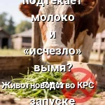 важное правило кормления