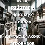 ветеринар диплом