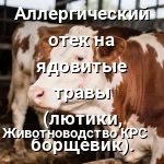 ветеринарную проблему.