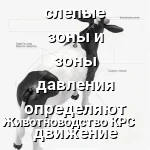 зона видимости