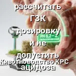 ацидоза рубца