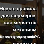 проверка правила