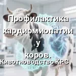 исскуственое сердце