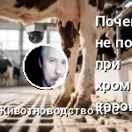 копыто фото