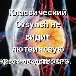 Лютеиновая резистентность
