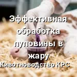 обработка пуповины