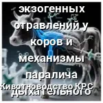 паралиц дыхания