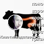 понос у коровы