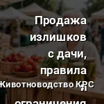 продажа с дачи