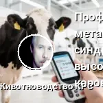Профилактика метаболического синдрома