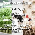 пророщенного зерна