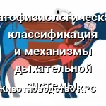 растройство дыхания