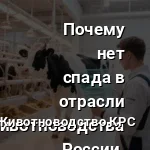 удой корова