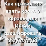 взятие крови из хвоста