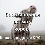 Бронхиальная астма