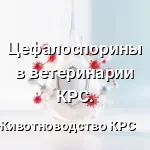 цефалоспарин работа