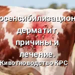Фотосенсибилизационный дерматит