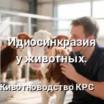 Идиосинкразия крс