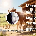 Метионин как защита молока