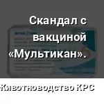 multikan6 up