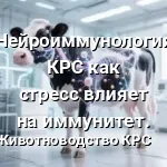Нейроиммунология КРС