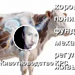 Парабиоз у коров