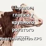 паралич глотки