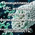 пенецилин работа