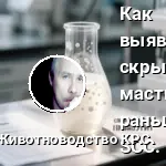 подсчет клеток (SCC)