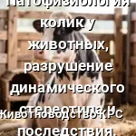 поза седячей коровы