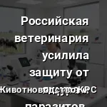 Российская ветеринария усилила защиту от ящура и паразитов.
