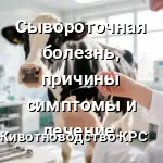 Сывороточная болезнь